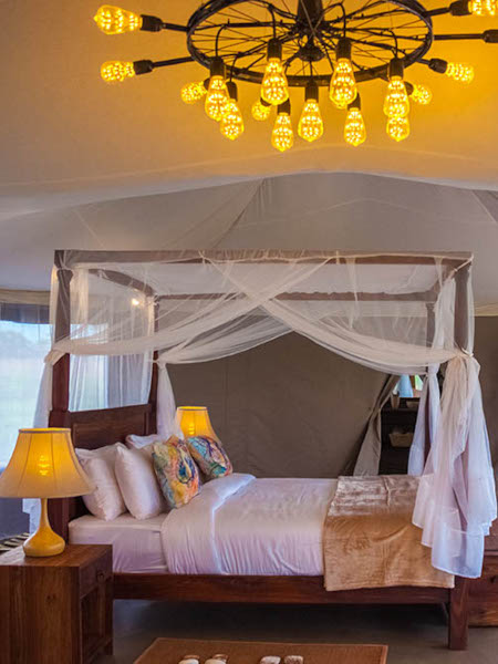 Standard Accommodation photo2