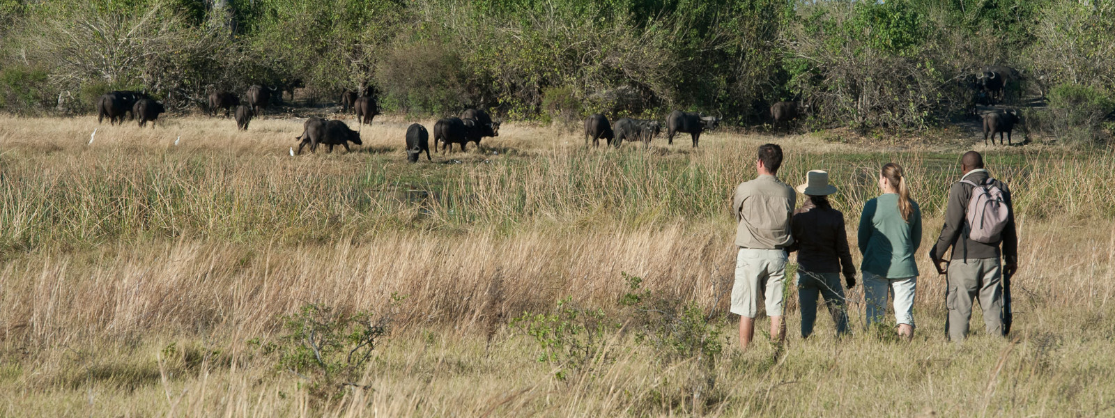 Linyanti Wildlife Reserve