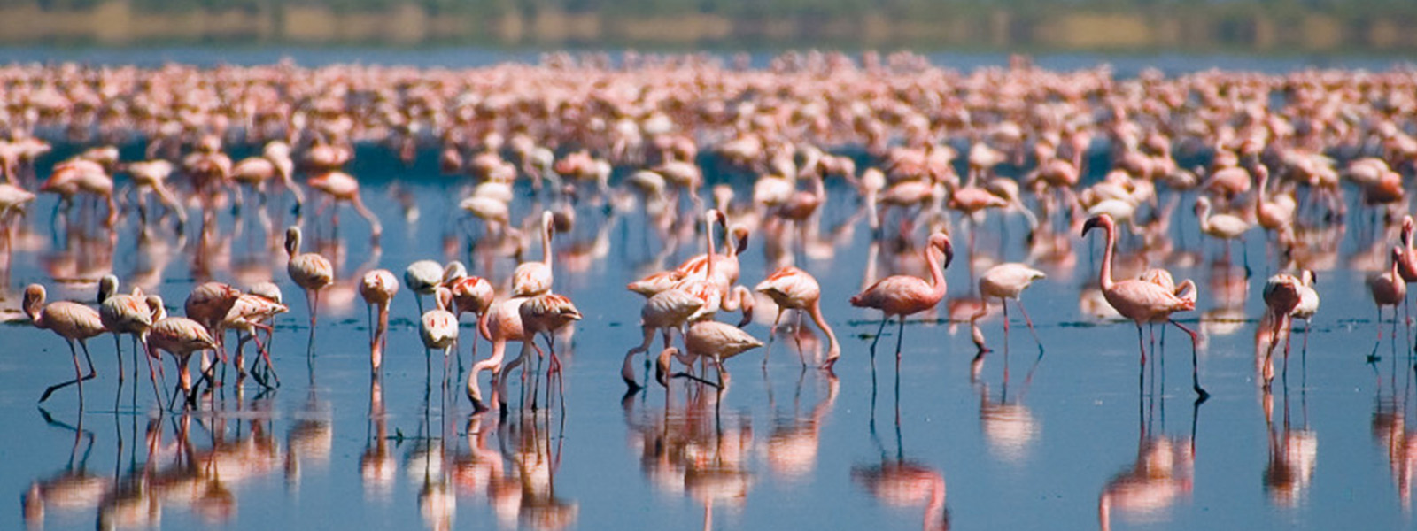 Lake Natron