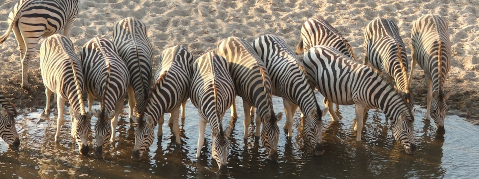 Nxai Pan’s National Park