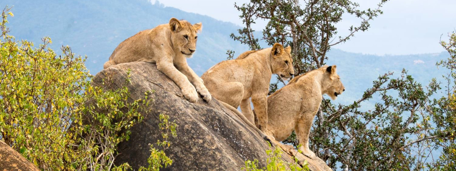 Tsavo National Park