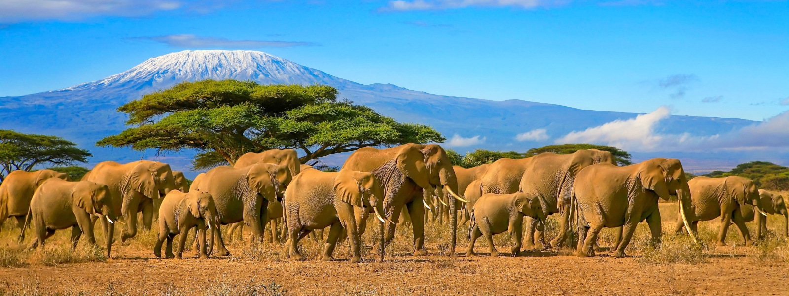 Mount Kilimanjaro