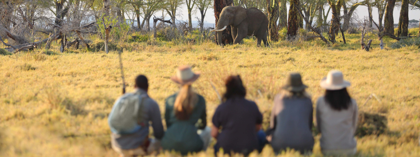 Nyerere National Park (Selous)