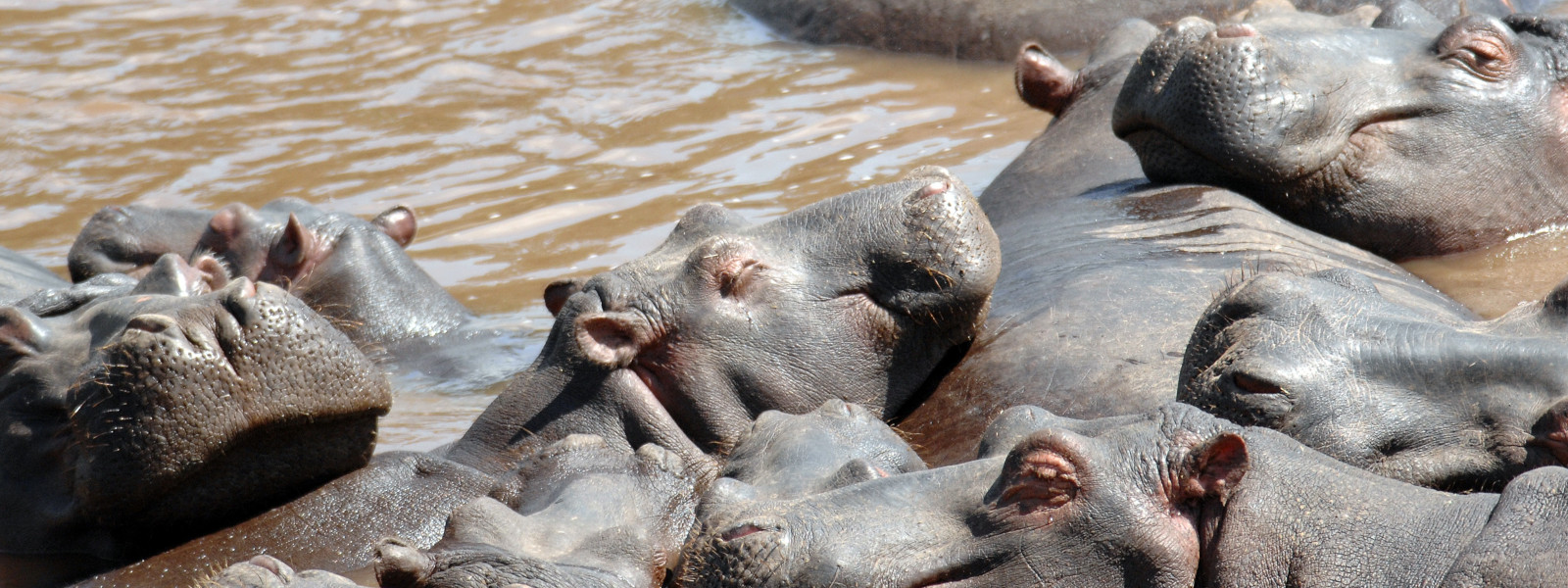 Katavi National Park