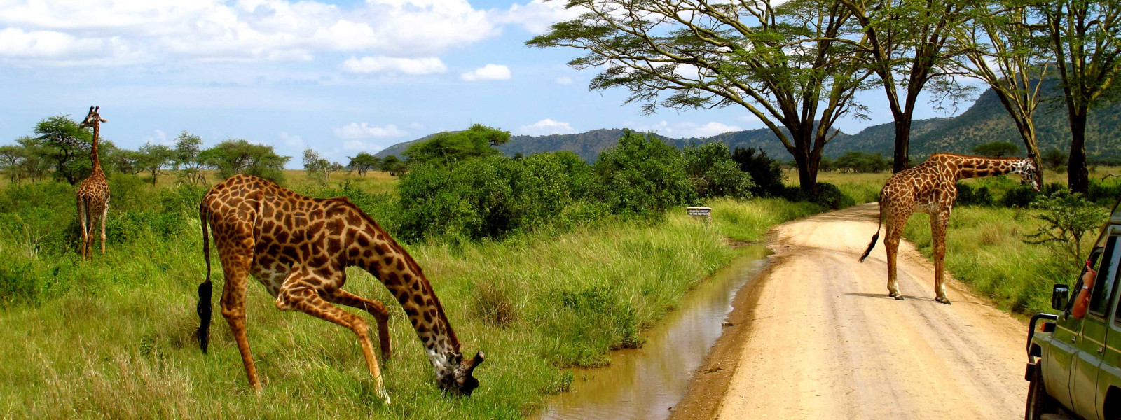 Tarangire National Park