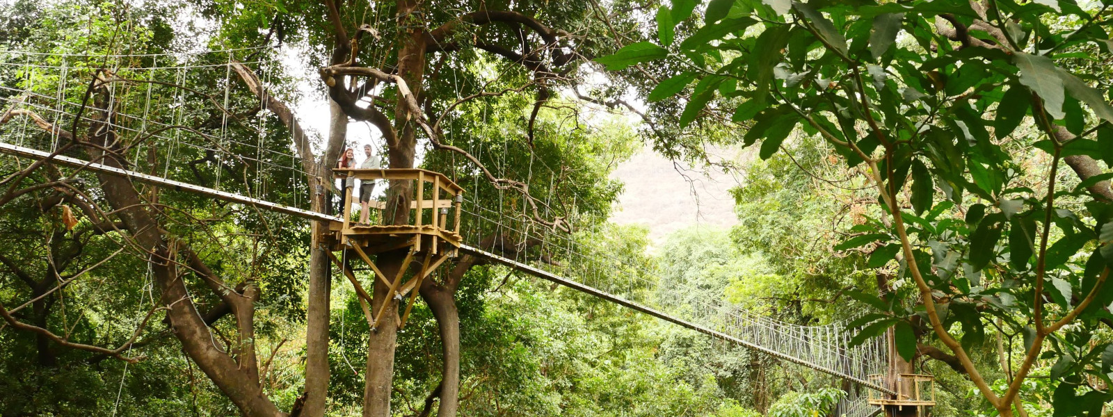 Lake Manyara Treetop Walkway