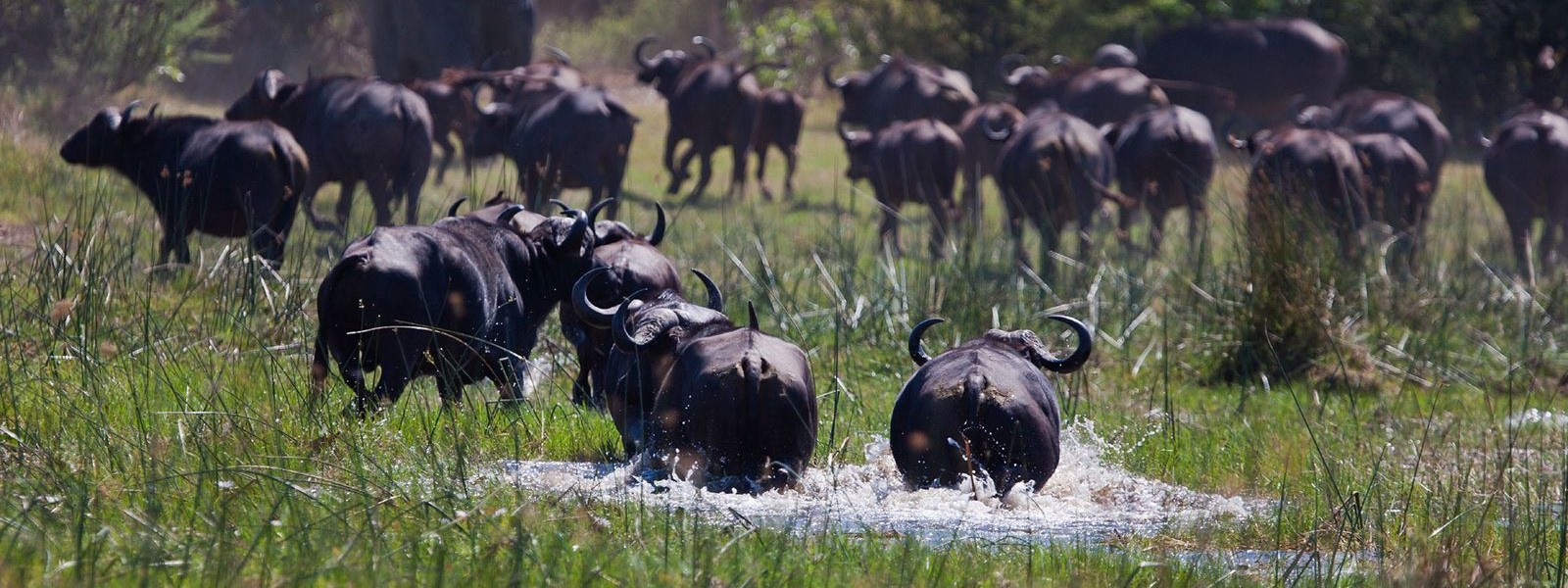 Laikipia Wilderness Area