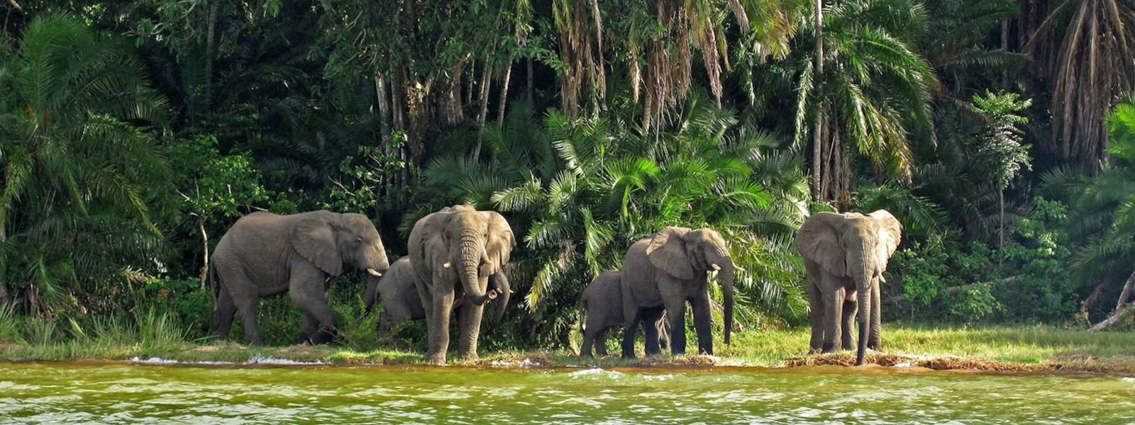 Rubondo Island National Park