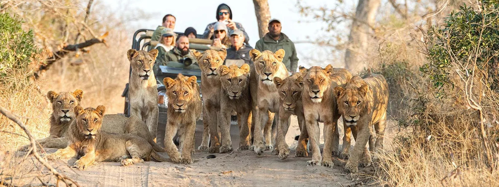 Kruger National Park