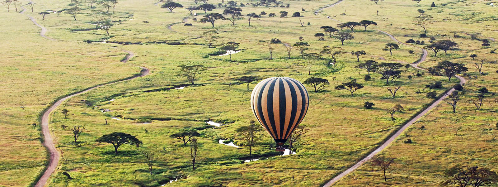 Hot-Air Balloon Rides