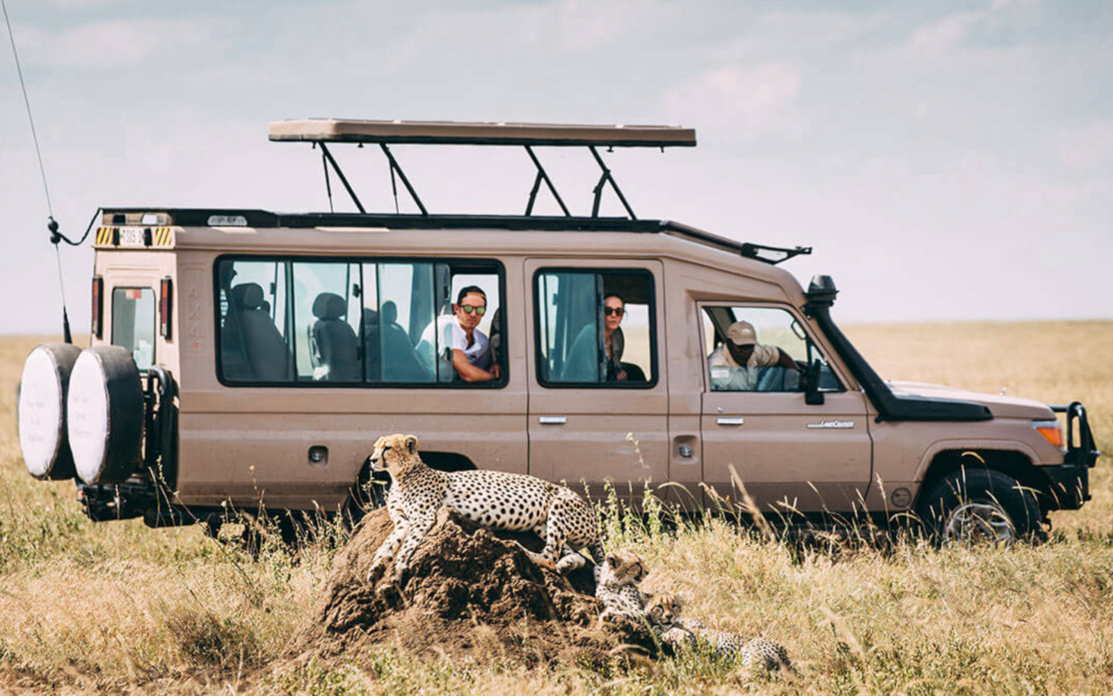 Safari Vehicles Rental