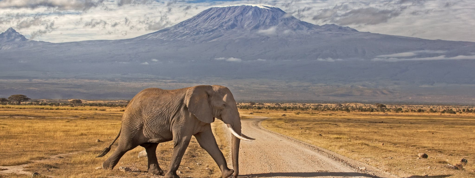 Mount Kilimanjaro View Point in Kenya