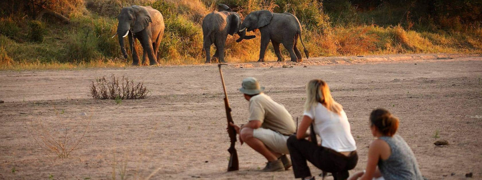 Ruaha National Park & Zanzibar