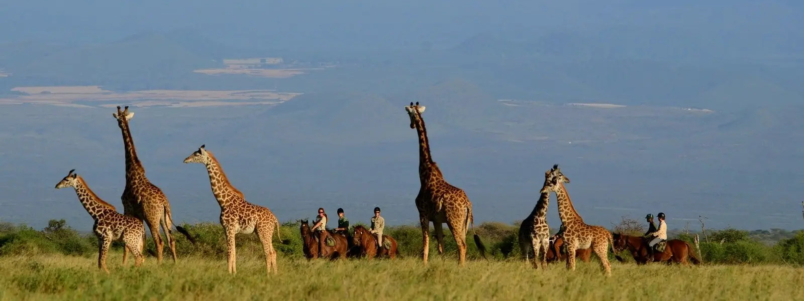 Mount Kilimanjaro Horse Safari