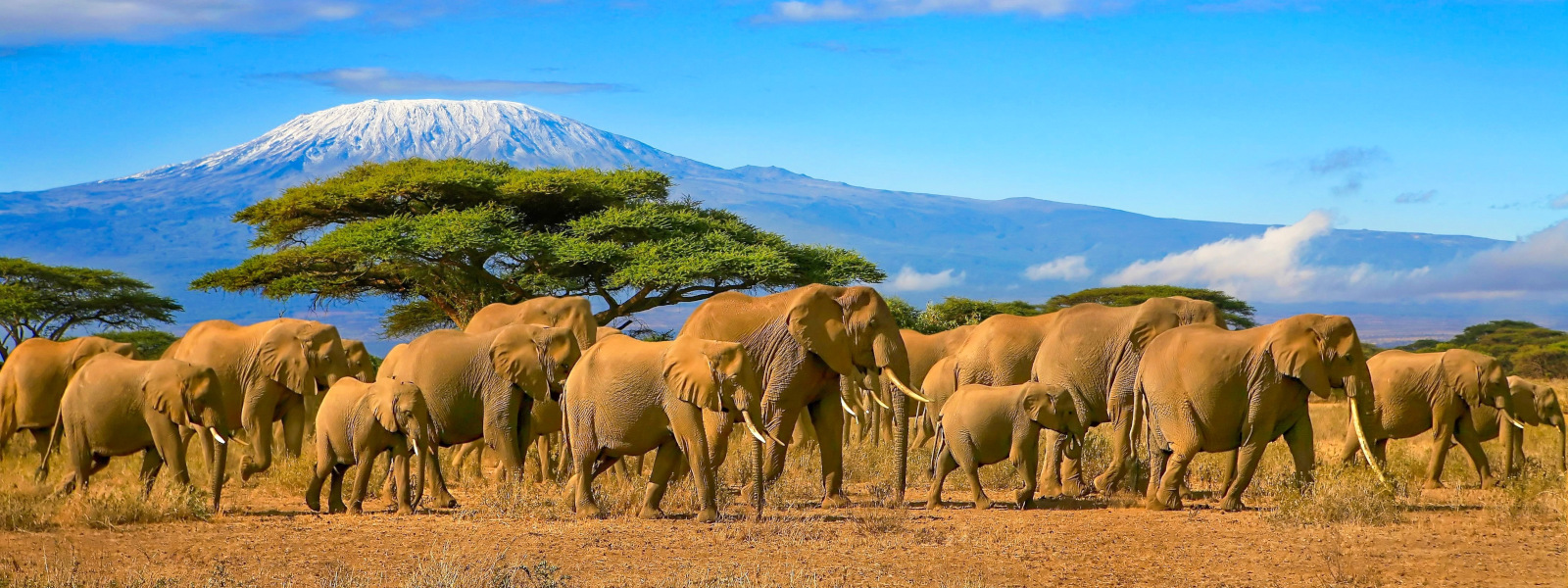 Kenya Tanzania Extended Safari