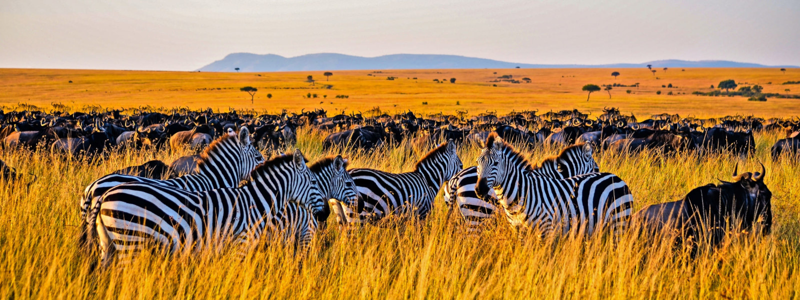 Kenya & Tanzania Safari Combinations